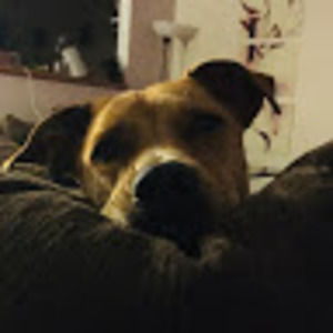 Meet your Posher, Stori